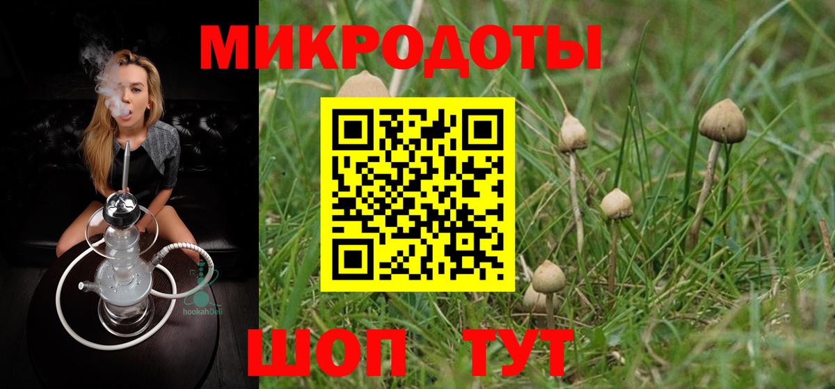 Псилоцибиновые грибы Psilocybe  Вход с VPN  наркотики  Вятские Поляны 