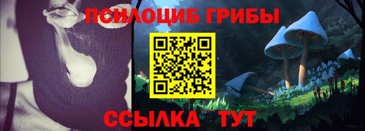 Галлюциногенные грибы прущие грибы Вятские Поляны